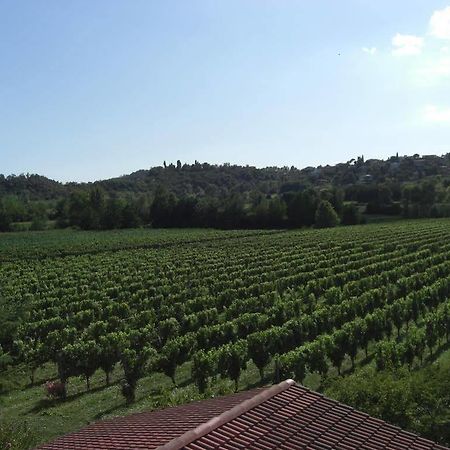 Il Vigneto Affittacamere Манерба-дель-Гарда Экстерьер фото