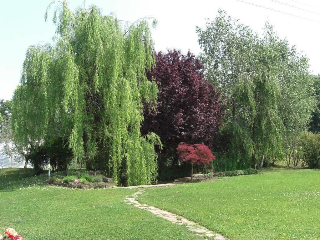Il Vigneto Affittacamere Манерба-дель-Гарда Экстерьер фото